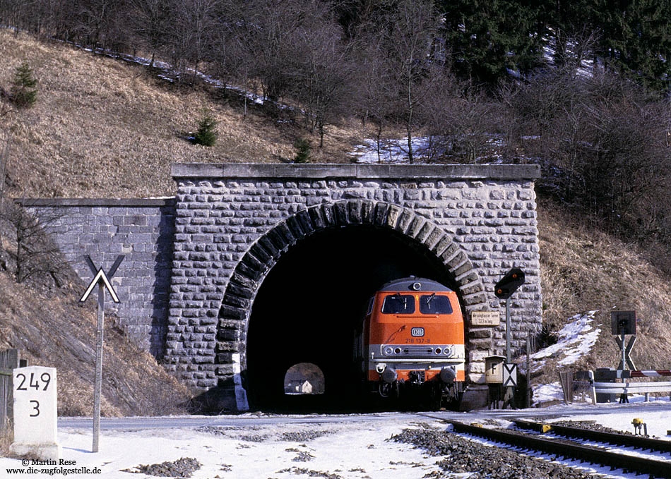 218 137 mit E3690 Warburg - Hagen am Messinghauser Tunnel