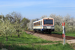 NE81 VT125 auf der Achertalbahn bei Oberachern