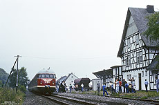 VT08, VS08 503, als Sonderzug der Eisenbahnfreunde Paderborn im Bahnhof Hallenberg