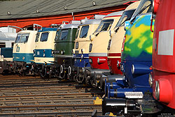 Lokfronten der Museumslokomotiven Lokschuppenfest im Südwestfälischen Eisenbahnmuseum im Bw Siegen