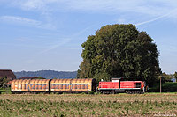 In Niederbiegen zweigt die 2,5 Kilometer lange Strecke nach Baienfurt ab. Auf dieser Strecke verkehrt an Werktagen das Übergabezugpaar FZT56251/56250. Am 6.10.2010 war die 294 721 bei Niederbiegen auf dem Weg zur Papierfabrik in Baienfurt.