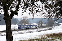 Am trüben und kalten 27.1.2010 fährt der, aus dem VT67 und VTVT64 gebildete, BOB87221 zwischen Oberzell und Meckenbeuren nach Friedrichshafen.