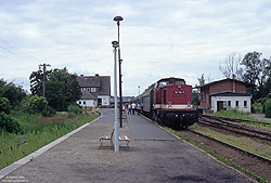 110 792 auf der Insel Usedom im Bahnhof Wolgaster Fähre