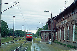219 096 mit Regionalbahn nach züssow im Bahnhof Buddenhagen mit Einfachfahrleitung