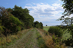ehemalige Trasse der Strecke Ducherow - Swinemünde bei Görke auf der Insel Usedom