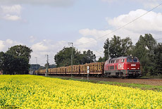Auch die "Osthannoversche Eisenbahn" besitzt drei ehemalige Lokomotiven der Baureihe 216. Zwischen Salzbergen und Rheine überraschte mich am 25.9.2008 die 2000 85 (ex 216 121) mit einem Holzzug.