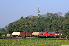 Leichtes Spiel hatten die 217 017 und 217 018 mit dem kurzen Güterzug nach Mühldorf, aufgenommen bei Tüssling am 4.5.2006.