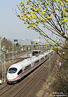Im Rheinland erwacht der Frühling: Bei Düsseldorf Unterrath passiert der 406 501 als ICE 123 (Amsterdam – Frankfurt) die ersten Frühlingsboten. 3.4.2009