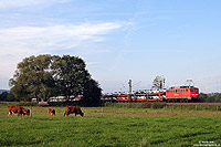 Zwischen Bad Hersfeld und Oberhaun hat die 140 002, die inzwischen dienstälteste Lok ihrer Baureihe (Abnahme: 31.7.1957!), einen Autozug am Haken. Ob eines der Autos jemals das Alter der Lok erreichen wird? 23.9.2010