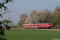 Am Morgen des 20.4.2010 entstand die herrliche Frühlingsaufnahme der RB 12713 zwischen Bad Bodendorf und Remagen.