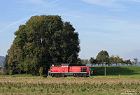 Montags bis freitags verkehrt auf der Stichbahn Niederbiegen - Beienfurt das "Übergabezugpaar" FZT56251/56250. Ohne Wagen ist die 294 721 am 6.10.2010 als FZT56250 auf dem Rückweg nach Niederbiegen.