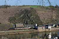 Das Dampfspektakel rund um Trier, Ostern 2010, lockte viele Eisenbahnfreunde in den Südwesten Deutschlands. Am 5.4. verschlug es auch mich an die Mosel. Bei Kobern Gondorf entstand die Aufnahme der 41 360 mit dem IC 91302 (Dortmund - Trier).