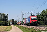 Südlich von Kenzingen fährt die Re482 032 mit einem Containerzug in Richtung Schweiz. 24.6.2010.