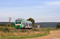 Die Nahverkehrsleistungen auf der KBS461 werden von der VECTUS- Verkehrsgesellschaft mbh erbracht. Am spätsommerlichen 20.9.2010 fährt der VT251 zwischen Hachenburg und Hattert als VEC84482 nach Au/Sieg.