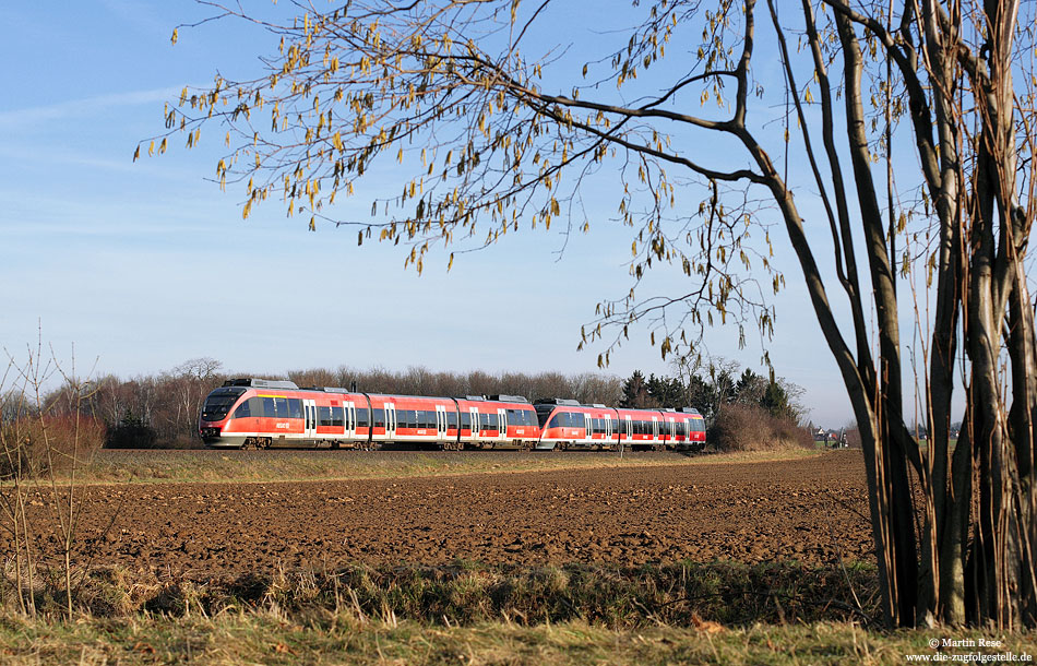 Als RB11650 fahren der 644 012 und 037 zwischen Rheinbach und Odendorf nach Euskirchen. Der Haselnussstrauch im Vordergrund sorgte schon wieder für die ersten Heuschnupfenbeschwerden ...! 9.2.2011