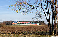Als RB11650 fahren der 644 012 und 037 zwischen Rheinbach und Odendorf nach Euskirchen. Der Haselnussstrauch im Vordergrund sorgte schon wieder für die ersten Heuschnupfenbeschwerden ...! 9.2.2011