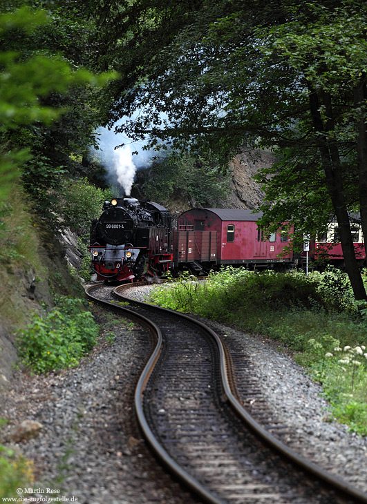 Die Harzer Schmalspurbahn GmbH setzt nach wie vor auch Dampflokomotiven im Reisezugverkehr ein. Mit dem HSB8965 (Gernrode – Hasselfelde) schnauft die 99 6001 bei Drahtzug durch das enge und kurvenreiche Selketal. 21.7.2011