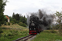 Planmäßig sind im Selketal nur Züge mit zwei oder drei Wagen unterwegs. Am 21.7.2011 macht die 99 7235 mit einem aus sieben Wagen gebildeten Sonderzug bei Straßberg Glasebach ordentlich Dampf.