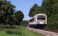 Auf der knapp elf Kilometer langen Achertalbahn Achern - Ottenhöfen kommen Triebwagen vom Typ NE81 zum Einsatz. Als SWE71716 habe ich den VT125 bei Kappelrodeck auf dem Weg nach Ottenhöfen fotografiert. 17.8.2011