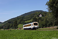 Ebenfalls bei Fuschendorf entstand die Aufnahme des VT125, der als SWE71732 auf dem Weg nach Ottenhöfen war. 17.8.2011