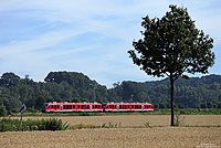 Aus Brilon Stadt kommend fährt ein 648-Doppel als RE10476 dem nächsten Halt Fröndenberg entgegen. 24.7.2012