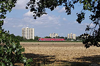 Auf den Strecken rund um Grünstadt dominieren Ludwigshafener 628. Die Aufnahme der RB28532 (Frankenthal – Ramsen) entstand zwischen Frankenthal und Flomersheim mit dem „Villenviertel“ von Frankenthal im Hintergrund. 20.8.2013
