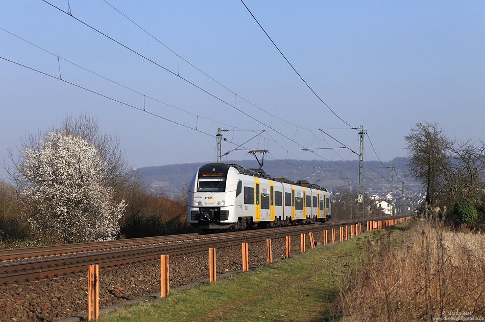 Zwischen Gau Algesheim und Bingen Gaulsheim fährt der 460 008 der Transregio als MRB25342 nach Koblenz. 13.3.2014