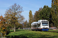 Unterwegs als SWE88941 (Endingen am Kaiserstuhl – Gottenheim) hat der VT506 soeben Riegel Ort verlassen. 31.10.2014