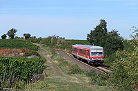 Zwischen Grünstadt und Kirchheim fährt die RB13751 nach Mußbach. Auf der Zugzielanzeige wird Neustadt (Weinstraße) angezeigt, obwohl der Zug wegen Bauarbeiten bereits in Musbach endet!