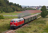 Ein besonderes Schmankerl war der Einsatz der Lollo, alias V160 002. Zwischen Röddenau und Haine fährt die Lok mit einem Nahverkehrszug nach Allendorf. Neben mir erwarteten hier etwa 50 weitere Fotografen den Zug!
