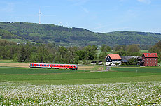 Bei Friedensdorf fährt der 628 622 als RB23162 nach Bad Laasphe. Der Löwenzahn hat hier die Blüte bereits hinter sich und die „Pusteblumen“ warten darauf, dass der Wind den Samen in alle Richtungen verstreut.