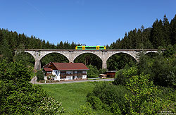 Regioshuttle der Waldbahn nach Bodenmais auf der dem Viadukt bei Reisachmühle bei Zwiesel