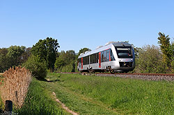 VT12 11 01 von Abellio Rail bei Hamminkeln auf der Strecke Bocholt - Wesel