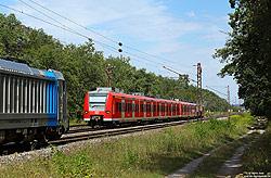 425 536 der S-Bahn Rhein-Neckar begegnet bei Oftersheim der Rpool 187 311