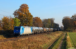 Blaue 185 518 mit dem DGS95088 im Herbst auf der linken Rheinstrecke bei Bornheim