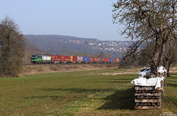 193 754 mit Containerzug der Wiener Lokalbahnen bei Wenfeld im Maintal