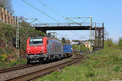 437013 mit KV-Zug an der Fußgängerüberführung bei Leutesdorf auf der rechten Rheinstrecke
