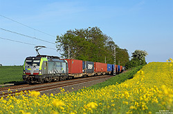 475 403 mit dem Captrain-DGS40236 (Melzo – Rotterdam-Waalhaven) im spätnachmittaglichen Licht am Rapsfeld nahe Rommerskirchen
