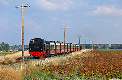 99 2322 der Mecklenburgischen Bäderbahn Molli in den Feldern am Haltepunkt Steilküste