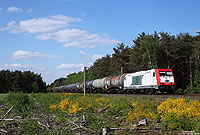 Zwischen Hanekenfähr und Leschede fährt die 185 649 der ITL mit einem Kesselwagenzug gen Süden. 3.5.2011