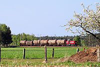 Am 6.5.2008 fährt die D24 der Bentheimer Eisenbahn aus Holthausen kommend bei Leschede in Richtung Salzbergen.

