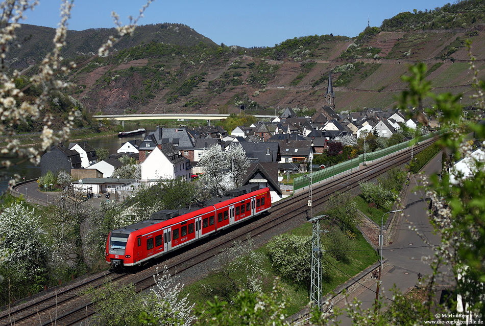 Vor der Kulisse des Ortes Neef fährt die aus dem 426 036 gebildete RB12222 nach Trier. 8.4.2011