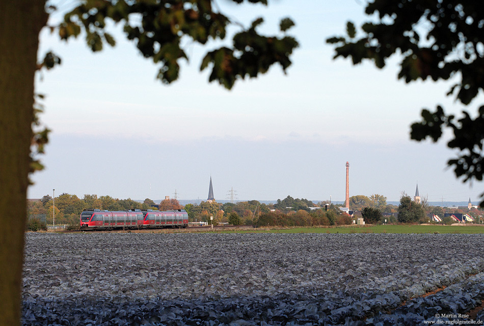 Ebenfalls bei Wißkirchen entstand die Aufnahme der RB11136, 19.10.2009. Bald kann die Rotkohlernte beginnen …