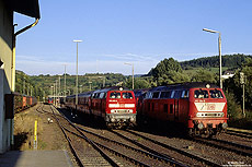 Am frühen Abend des 16.9.1999 hatte die Nachtruhe für die 215 138 und 033 im Bahnhof Gerolstein schon begonnen.