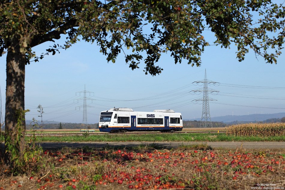 Herbst an der Kaiserstuhlbahn: Bei Riegel Ort rollt der VT505 am 31.10.2014 als SWE91362 nach Endingen. 