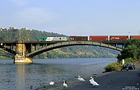 437015 auf der Moselbrücke in Koblenz Güls