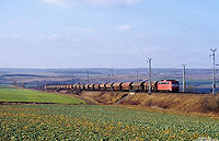 Ohne viel Mühe bewältigt das Kraftpaket 150 112 mit einem Getreidezug die Rampe zwischen Sangerhausen und Riestedt. 10.2.2001