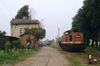 Nach Ankunft des N8811 in Heiligenthal rangiert die Güstener 201 628 an das andere Zugende. 24.5.1993