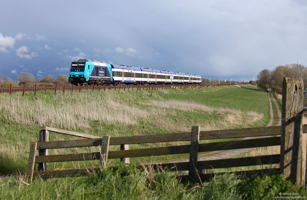 Marschbahn, 245 201 mit der NOB81718 auf dem Damm bei Klanxbüll