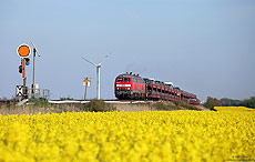 218 314 mit Syltshuttle nach Westerland am Einfahrvorsignal von Lehnshallig auf der Marschbahn